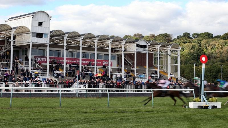 賽馬賠率解析:押對馬匹的秘密武器